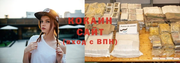 дмт Абаза