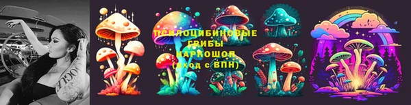 дмт Абаза