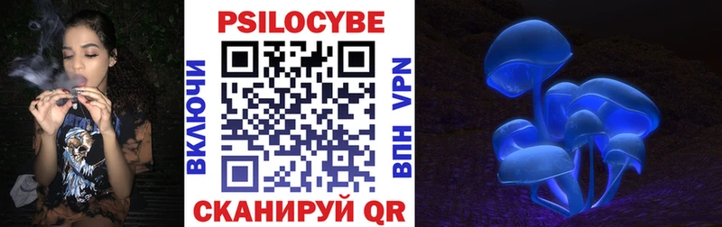 Галлюциногенные грибы Psilocybine cubensis  гидра ссылка  Орёл 